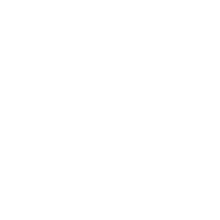 logo_Solsin